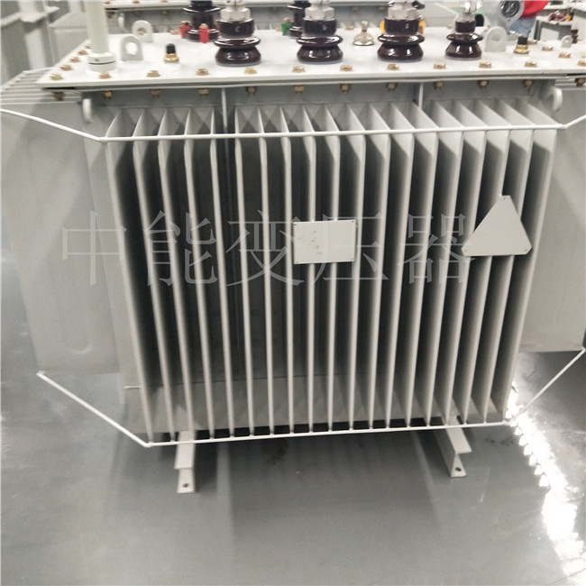 新余S20-800KVA变压器