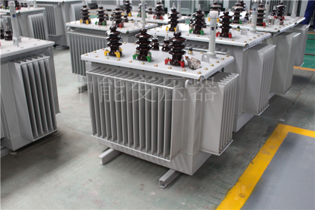 新余S22-100KVA/10KV/0.4KV变压器